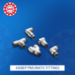 AIGNEP