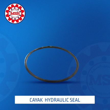CAYAK Hydraulic Seal