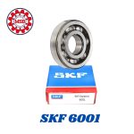 002- SKF 6001 رمان بلي