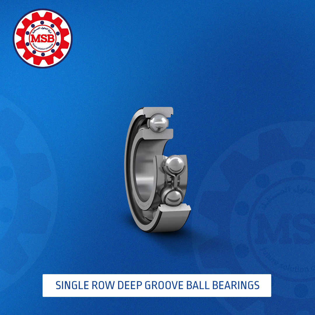 Single row deep groove ball bearings SINGLE ROW DEEP GROOVE BALL BEARINGS