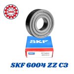016- SKF 6004 ZZ C3 رمان بلي